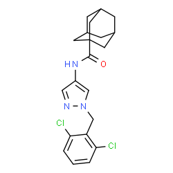 ChemSpider 2D Image | N-[1-(2,6-Dichlorobenzyl)-1H-pyrazol-4-yl]-1-adamantanecarboxamide | C21H23Cl2N3O