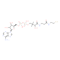 ChemSpider 2D Image | [(2R,3S,4R,5R)-5-(6-Amino-9H-purin-9-yl)-3,4-dihydroxytetrahydro-2-furanyl]methyl 3-hydroxy-2,2-dimethyl-4-oxo-4-({3-oxo-3-[(2-sulfanylethyl)amino]propyl}amino)butyl dihydrogen diphosphate (non-prefer
red name) | C21H35N7O13P2S