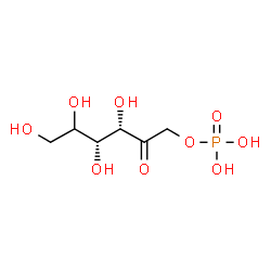 ChemSpider 2D Image | (3S,4R)-Ketose 1-phosphate | C6H13O9P