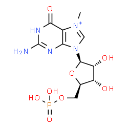 ChemSpider 2D Image | 7-Methylguanosine 5'-(dihydrogen phosphate) | C11H17N5O8P