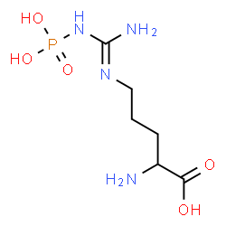 ChemSpider 2D Image | (E)-N~5~-[Amino(phosphonoamino)methylene]ornithine | C6H15N4O5P