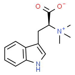 ChemSpider 2D Image | hypaphorine | C14H18N2O2
