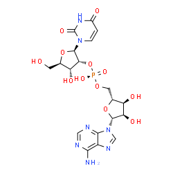 ChemSpider 2D Image | [(2R,3S,4R,5R)-5-(6-Amino-9H-purin-9-yl)-3,4-dihydroxytetrahydro-2-furanyl]methyl (2R,3R,4R,5R)-2-(2,4-dioxo-3,4-dihydro-1(2H)-pyrimidinyl)-4-hydroxy-5-(hydroxymethyl)tetrahydro-3-furanyl hydrogen (S)
-phosphate | C19H24N7O12P