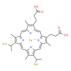 ChemSpider 2D Image | Iron(2+) 2,18-bis(2-carboxyethyl)-3,7,12,17-tetramethyl-8,13-bis(1-sulfanylethyl)porphine-21,23-diide | C34H36FeN4O4S2
