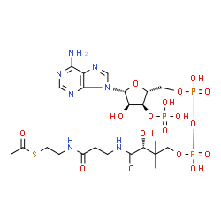 ChemSpider 2D Image | Acetyl-CoA | C23H38N7O17P3S