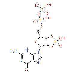 ChemSpider 2D Image | [(2R,3aR,4R,6R,6aR)-6-(2-Amino-6-oxo-3,6-dihydro-9H-purin-9-yl)-2-hydroxy-2-oxidotetrahydrofuro[3,4-d][1,3,2]dioxaphosphol-4-yl]methyl trihydrogen diphosphate | C10H14N5O13P3