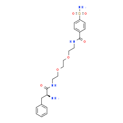 ChemSpider 2D Image | N-[2-(2-{2-[(4-Sulfamoylbenzoyl)amino]ethoxy}ethoxy)ethyl]-L-phenylalaninamide | C22H30N4O6S