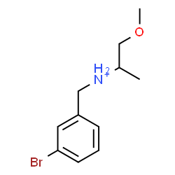 ChemSpider 2D Image | N-(3-Bromobenzyl)-1-methoxy-2-propanaminium | C11H17BrNO