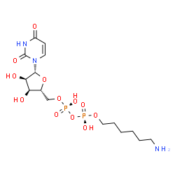 ChemSpider 2D Image | 5'-O-[(R)-{[(S)-[(6-Aminohexyl)oxy](hydroxy)phosphoryl]oxy}(hydroxy)phosphoryl]uridine | C15H27N3O12P2