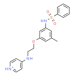 ChemSpider 2D Image | 4-[(2-{3-Methyl-5-[(phenylsulfonyl)amino]phenoxy}ethyl)amino]pyridinium | C20H22N3O3S