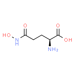 ChemSpider 2D Image | glutamine hydroxamate | C5H10N2O4