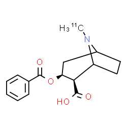 ChemSpider 2D Image | (2R,3S)-3-(Benzoyloxy)-8-(~11~C)methyl-8-azabicyclo[3.2.1]octane-2-carboxylic acid | C1511CH19NO4