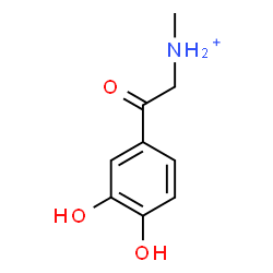 ChemSpider 2D Image | 2-(3,4-Dihydroxyphenyl)-N-methyl-2-oxoethanaminium | C9H12NO3