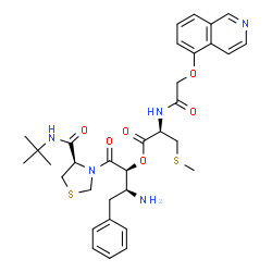 ChemSpider 2D Image | (2S,3S)-3-Amino-1-{(4R)-4-[(2-methyl-2-propanyl)carbamoyl]-1,3-thiazolidin-3-yl}-1-oxo-4-phenyl-2-butanyl N-[(5-isoquinolinyloxy)acetyl]-S-methyl-L-cysteinate | C33H41N5O6S2
