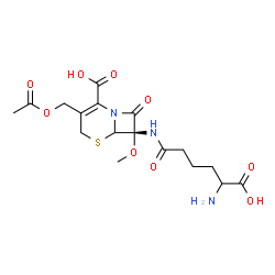 ChemSpider 2D Image | (7S)-3-(Acetoxymethyl)-7-[(5-amino-5-carboxypentanoyl)amino]-7-methoxy-8-oxo-5-thia-1-azabicyclo[4.2.0]oct-2-ene-2-carboxylic acid | C17H23N3O9S
