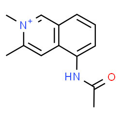ChemSpider 2D Image | 5-Acetamido-2,3-dimethylisoquinolinium | C13H15N2O