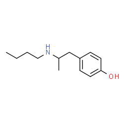 ChemSpider 2D Image | 4-[2-(Butylamino)propyl]phenol | C13H21NO