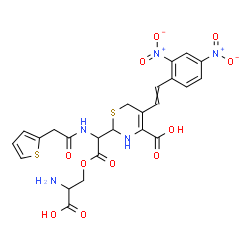 ChemSpider 2D Image | 2-{2-(2-Amino-2-carboxyethoxy)-2-oxo-1-[(2-thienylacetyl)amino]ethyl}-5-[2-(2,4-dinitrophenyl)vinyl]-3,6-dihydro-2H-1,3-thiazine-4-carboxylic acid | C24H23N5O11S2