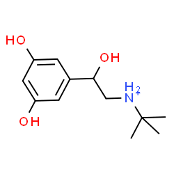 ChemSpider 2D Image | N-[2-(3,5-Dihydroxyphenyl)-2-hydroxyethyl]-2-methyl-2-propanaminium | C12H20NO3