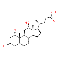 ChemSpider 2D Image | 1b,3a,12a-Trihydroxy-5b-cholanoic acid | C24H40O5