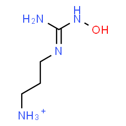 ChemSpider 2D Image | 3-{(E)-[Amino(hydroxyamino)methylene]amino}-1-propanaminium | C4H13N4O