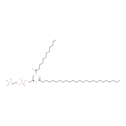 ChemSpider 2D Image | (2R)-3-(Dodecanoyloxy)-2-(pentacosanoyloxy)propyl 2-(trimethylammonio)ethyl phosphate | C45H90NO8P