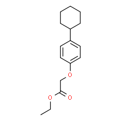 ChemSpider 2D Image | Ethyl (4-cyclohexylphenoxy)acetate | C16H22O3