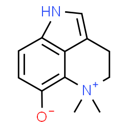 ChemSpider 2D Image | 5,5-Dimethyl-1,3,4,5-tetrahydropyrrolo[4,3,2-de]quinolin-5-ium-6-olate | C12H14N2O