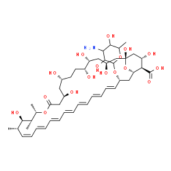 ChemSpider 2D Image | (1R,3S,5R,6R,9R,11R,15S,16R,17R,18S,19Z,21E,23E,25E,27E,29E,31E,33R,35S,36R,37S)-33-[(3-Amino-3,6-dideoxyhexopyranosyl)oxy]-1,3,5,6,9,11,17,37-octahydroxy-15,16,18-trimethyl-13-oxo-14,39-dioxabicyclo[
33.3.1]nonatriaconta-19,21,23,25,27,29,31-heptaene-36-carboxylic acid | C47H73NO17