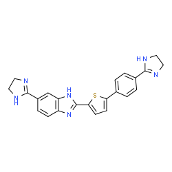 ChemSpider 2D Image | 6-(4,5-Dihydro-1H-imidazol-2-yl)-2-{5-[4-(4,5-dihydro-1H-imidazol-2-yl)phenyl]-2-thienyl}-1H-benzimidazole | C23H20N6S