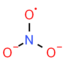 ChemSpider 2D Image | (Dioxidoamino)oxidanyl | NO3
