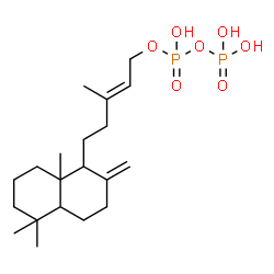 ChemSpider 2D Image | (2E)-3-Methyl-5-(5,5,8a-trimethyl-2-methylenedecahydro-1-naphthalenyl)-2-penten-1-yl trihydrogen diphosphate | C20H36O7P2