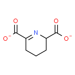 ChemSpider 2D Image | (R)-2,3,4,5-tetrahydrodipicolinate | C7H7NO4