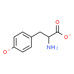 ChemSpider 2D Image | 2-Amino-3-(4-oxidophenyl)propanoate | C9H9NO3