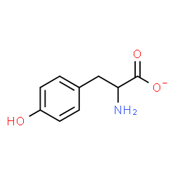 ChemSpider 2D Image | Tyrosinate | C9H10NO3