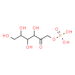 ChemSpider 2D Image | 1-O-Phosphonohex-2-ulose | C6H13O9P