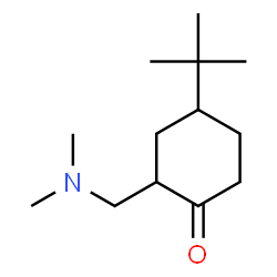 ChemSpider 2D Image | 4-tert-Butyl-2-[(dimethylamino)methyl]cyclohexanone | C13H25NO