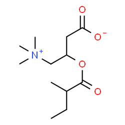 ChemSpider 2D Image | 2-methylbutyrylcarnitine | C12H23NO4
