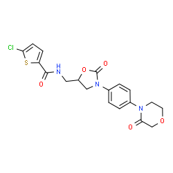 ChemSpider 2D Image | 5-Chloro-N-({2-oxo-3-[4-(3-oxo-4-morpholinyl)phenyl]-1,3-oxazolidin-5-yl}methyl)-2-thiophenecarboxamide | C19H18ClN3O5S