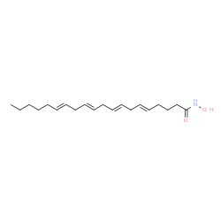 ChemSpider 2D Image | (5E,8E,11E,14E)-N-Hydroxy-5,8,11,14-icosatetraenamide | C20H33NO2