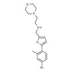 ChemSpider 2D Image | N-{[5-(4-Bromo-2-methylphenyl)-2-furyl]methyl}-2-(4-morpholinyl)ethanamine | C18H23BrN2O2