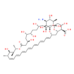 ChemSpider 2D Image | (1R,3S,5S,8S,9S,11R,15S,16S,17R,18S,19Z,21E,23E,25E,27E,29E,31E,33R,35S,36R,37S)-33-[(3-Amino-3,6-dideoxy-beta-D-mannopyranosyl)oxy]-1,3,5,8,9,11,17,37-octahydroxy-15,16,18-trimethyl-13-oxo-14,39-diox
abicyclo[33.3.1]nonatriaconta-19,21,23,25,27,29,31-heptaene-36-carboxylic acid | C47H73NO17