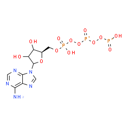 ChemSpider 2D Image | 9-[5-O-(Hydroxy{[{[hydroxy(oxo)phosphonio]peroxy}(oxo)phosphonio]peroxy}phosphoryl)-D-glycero-pentofuranosyl]-9H-purin-6-amine | C10H14N5O13P3