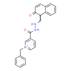 ChemSpider 2D Image | 1-Benzyl-3-({2-[(2-oxo-1(2H)-naphthalenylidene)methyl]hydrazino}carbonyl)pyridinium | C24H20N3O2