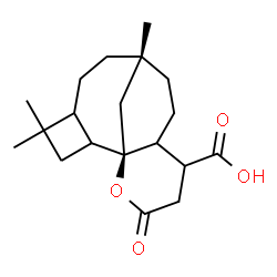 ChemSpider 2D Image | (1R,9R)-9,13,13-Trimethyl-3-oxo-2-oxatetracyclo[7.6.1.0~1,6~.0~12,15~]hexadecane-5-carboxylic acid | C19H28O4