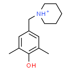 ChemSpider 2D Image | 1-(4-Hydroxy-3,5-dimethylbenzyl)piperidinium | C14H22NO