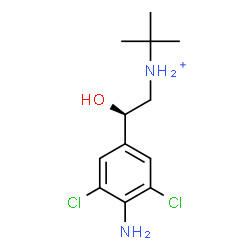 ChemSpider 2D Image | N-[(2R)-2-(4-Amino-3,5-dichlorophenyl)-2-hydroxyethyl]-2-methyl-2-propanaminium | C12H19Cl2N2O