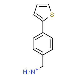 ChemSpider 2D Image | [4-(2-Thienyl)phenyl]methanaminium | C11H12NS