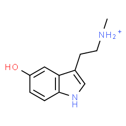 ChemSpider 2D Image | 2-(5-Hydroxy-1H-indol-3-yl)-N-methylethanaminium | C11H15N2O