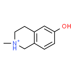 ChemSpider 2D Image | 6-Hydroxy-2-methyl-1,2,3,4-tetrahydroisoquinolinium | C10H14NO